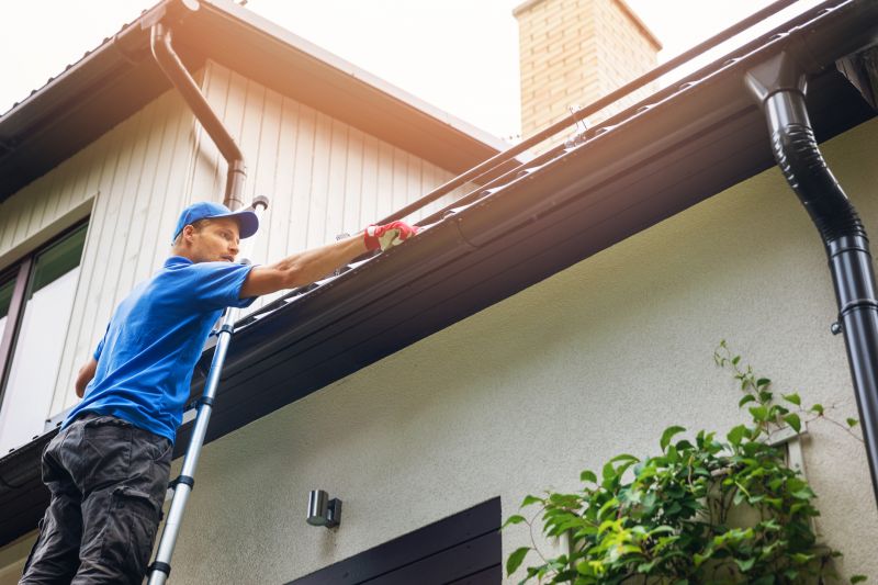 Local Gutter Service Options