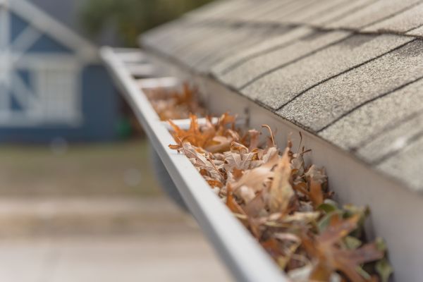 Leaf Barrier Installation in Greenfield
